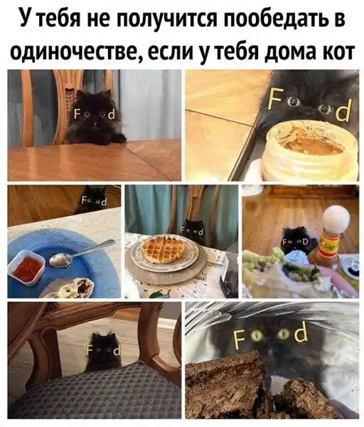 Смешные и познавательные картинки