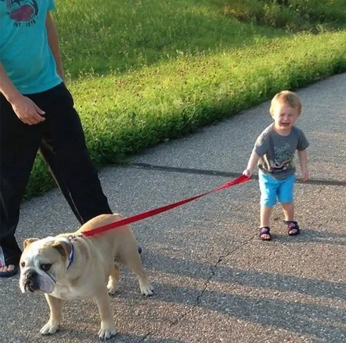 16 забавных причин, по которым плачут дети