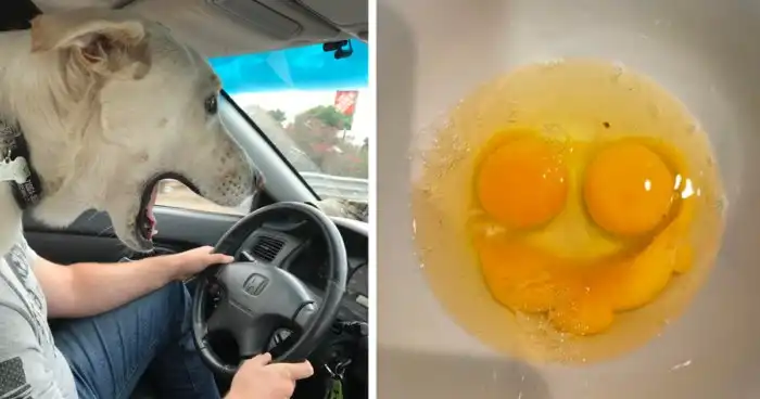 35 счастливчиков, которым повезло сделать крутое фото