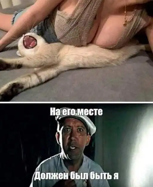 Картинки и мемы для настроения