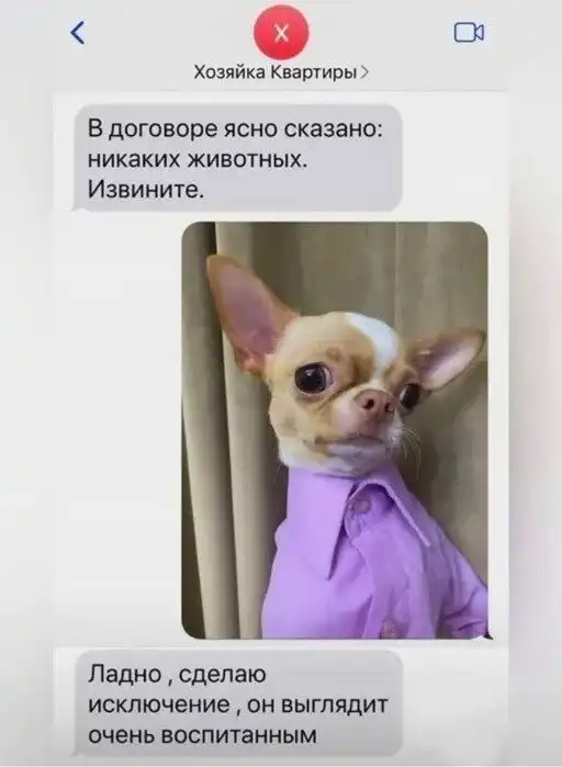 Скрины из соцсетей