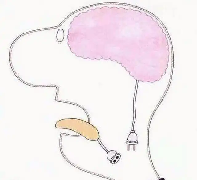 Рисунки и картинки с особым подтекстом