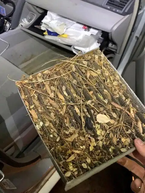 Автовсячина