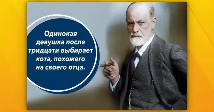 Пост о женской логике, собранный мужчиной