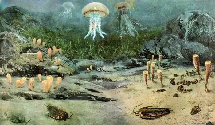 Когда на планете Земля появились первые живые организмы