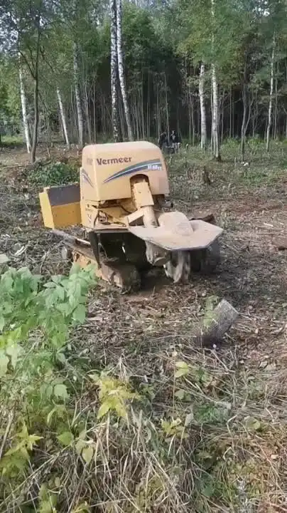 Гроза пеньков