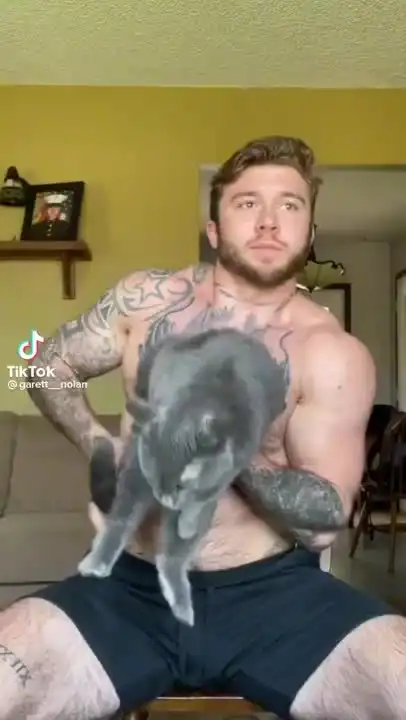 Вылечил песней