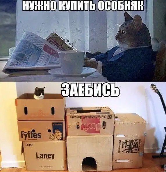 Картинки и мемы