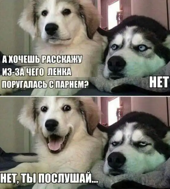 Картинки и мемы для настроения