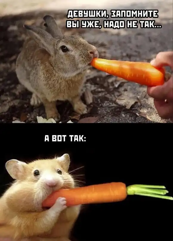 Картинки и мемы для настроения