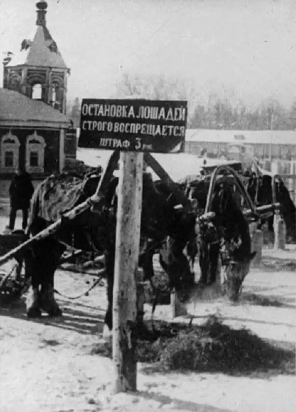 Картинки с надписями и всякие жизненные фразы