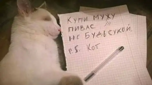 Картинки и мемы для настроения