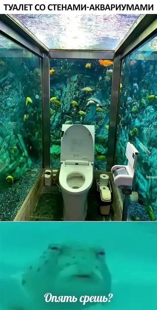 Нестандартный юмор :)