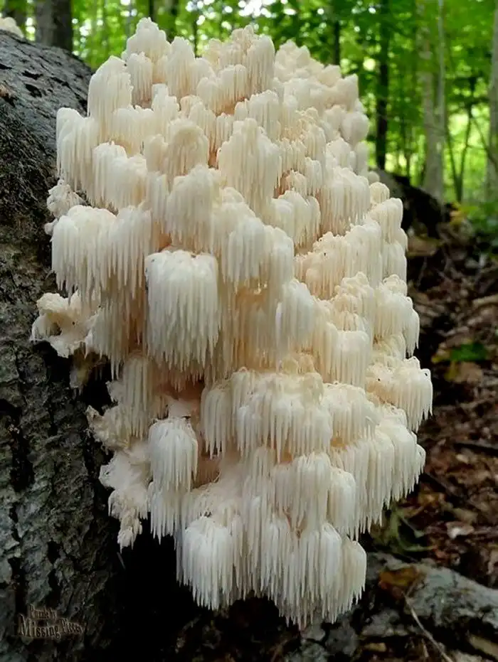 16 увлекательных изображений исключительных находок