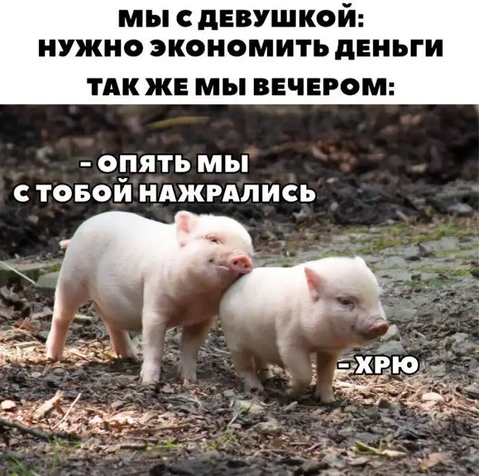 Экономия. Юмор. Ирония: попытки сократить личные расходы в условиях кризиса