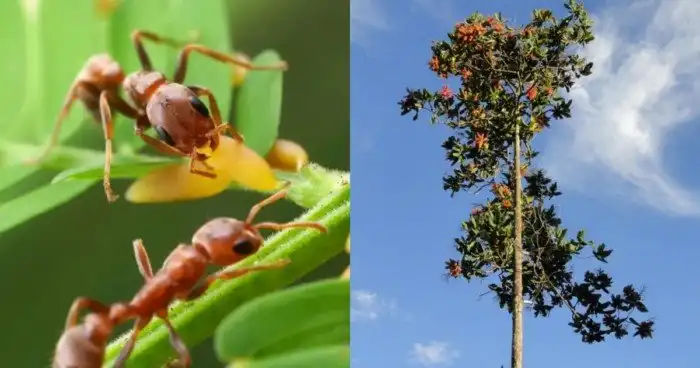 8 фактов для пополнения копилки бесполезных знаний