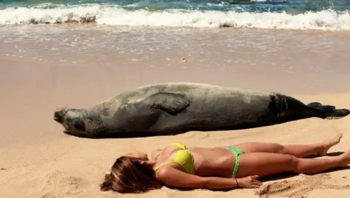 18 забавных пляжных снимков
