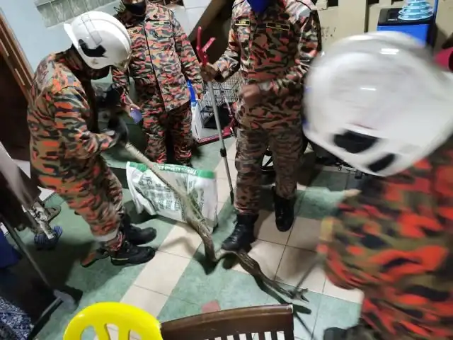 Почему не стоит долго сидеть в туалете в Малайзии