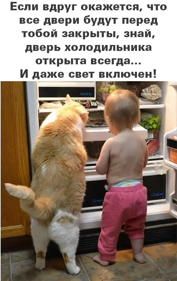 Немного картинок