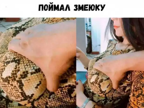 Картинки и мемы