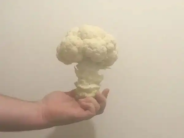 20 фото любопытных штуковин, которыми поделились пользователи сети