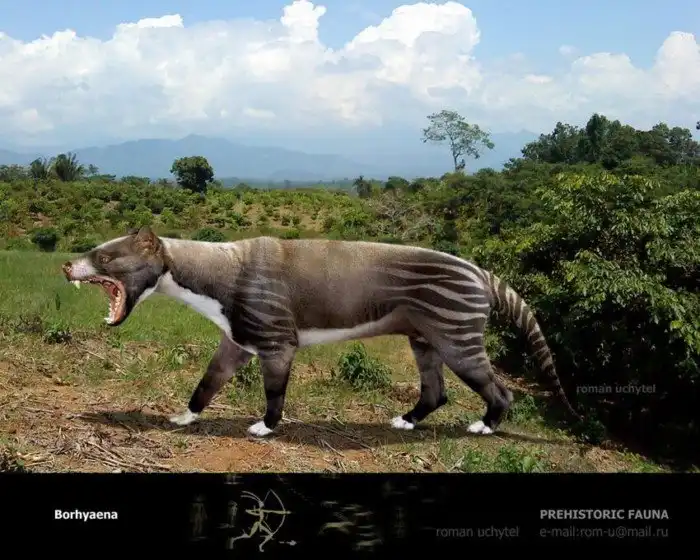 Боргиена: Он занимал нишу волка в древней Южной Америке, но охотился иначе. Вкладывал все силы в один-единственный удар