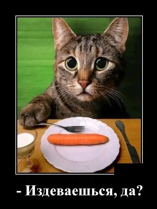 Картинки с надписями