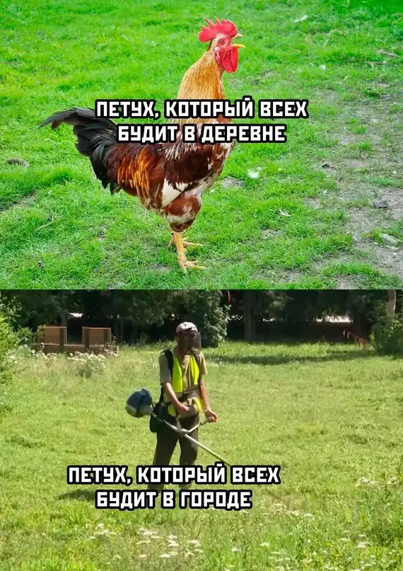 Весёлые