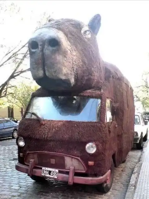 Автовсячина