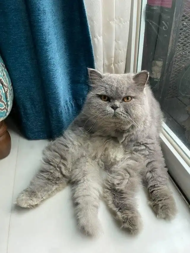 Фотографии, которые сломают ваш мозг и заставят посмотреть на них дважды