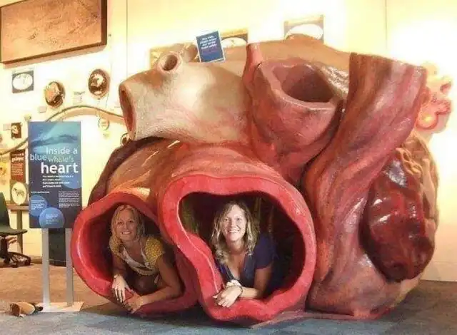 17 вещей, которые слишком велики для нашего мира