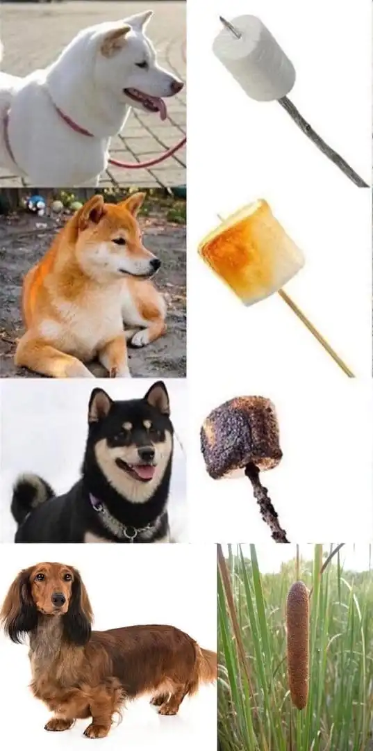 Нестандартный юмор :)