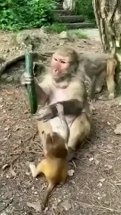 Мать⁠⁠