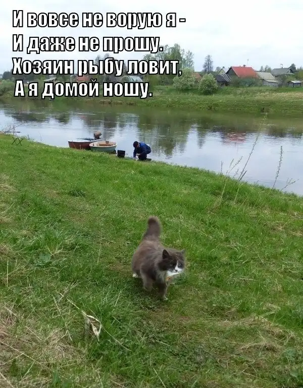 Картинки и мемы