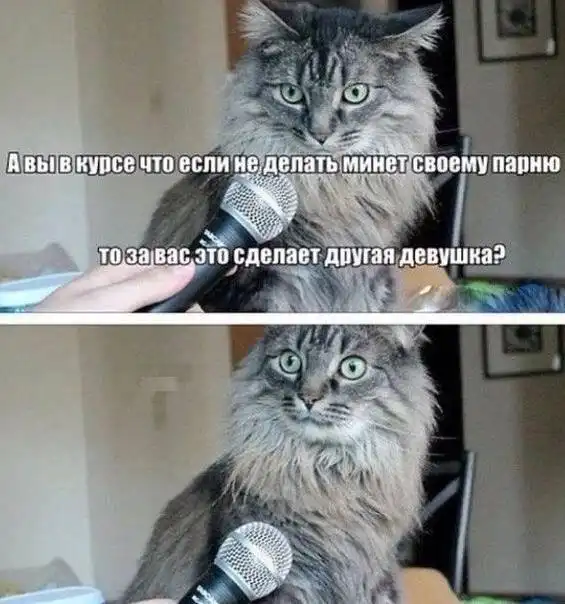 Мемы для взрослых