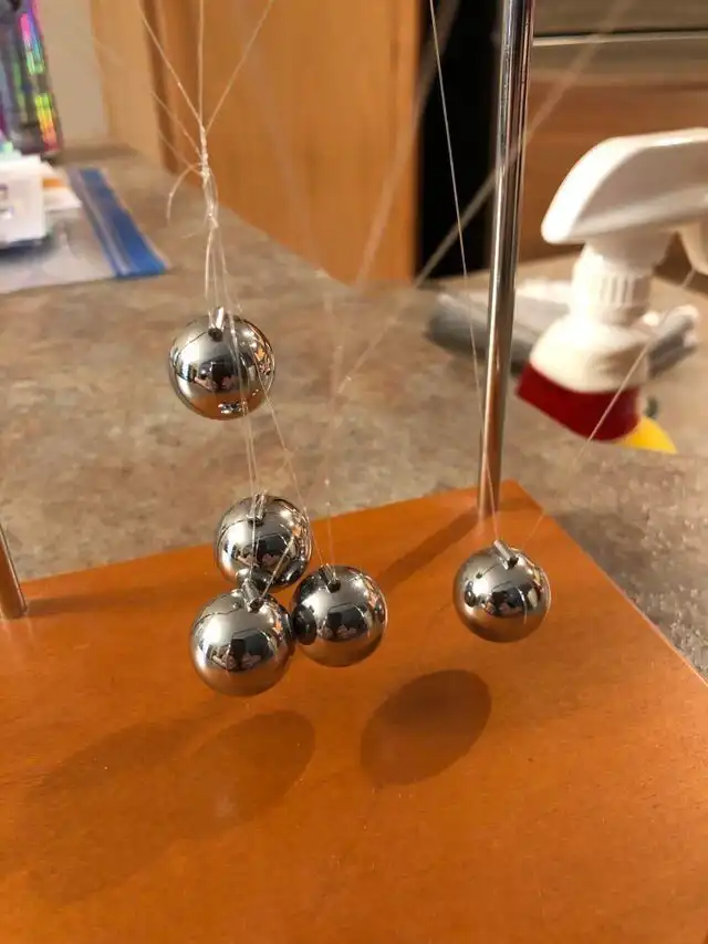 15 незваных гостей, которые "почувствовали себя как дома"