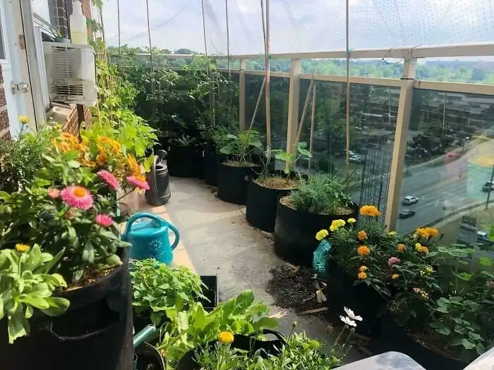 20+ любопытных фото из садов и огородов