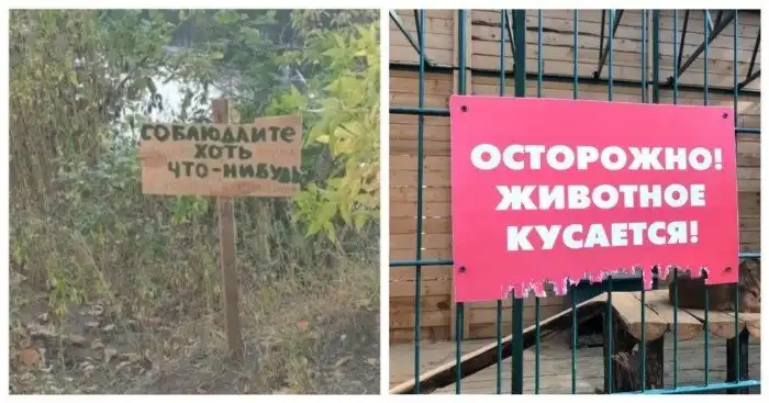 Чёткие таблички и надписи, поднимающие настроение