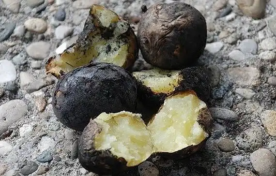 Когда-то у тебя были детство и молодость!