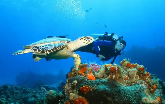 40 мест с самой чистой водой на планете