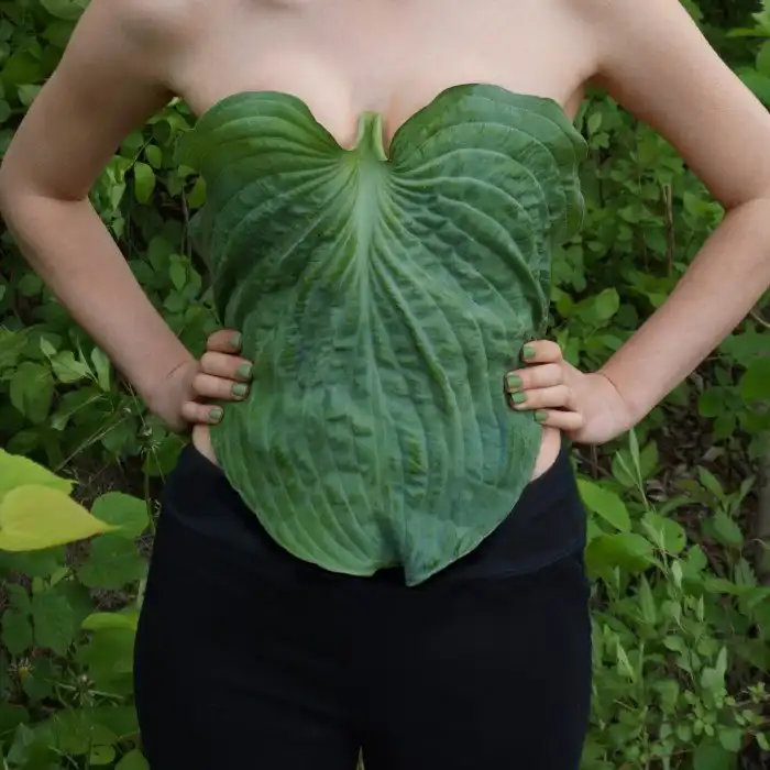 Вы не понимаете, юбка из лука - это фэшн: безумные дизайнерские фантазии