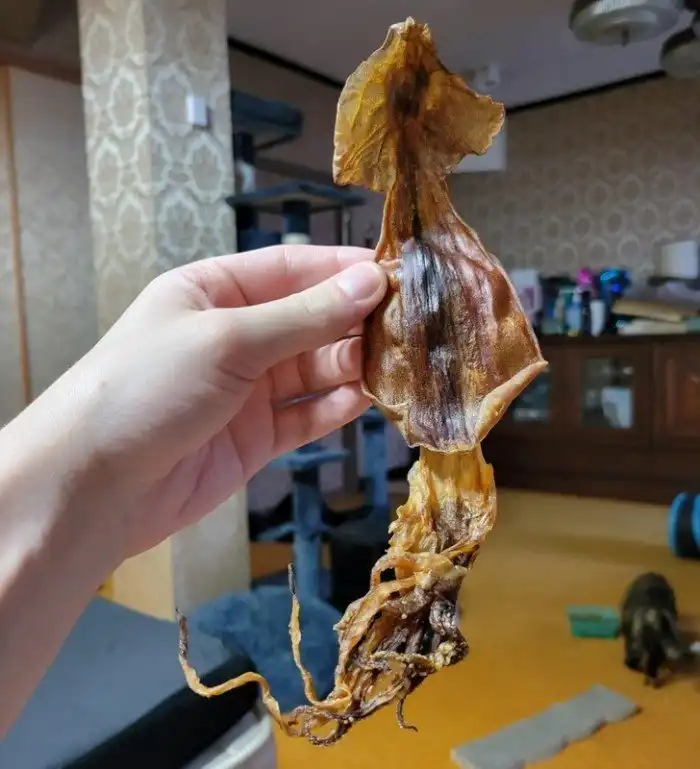 30+ людей, которые обнаружили кое-что интересное