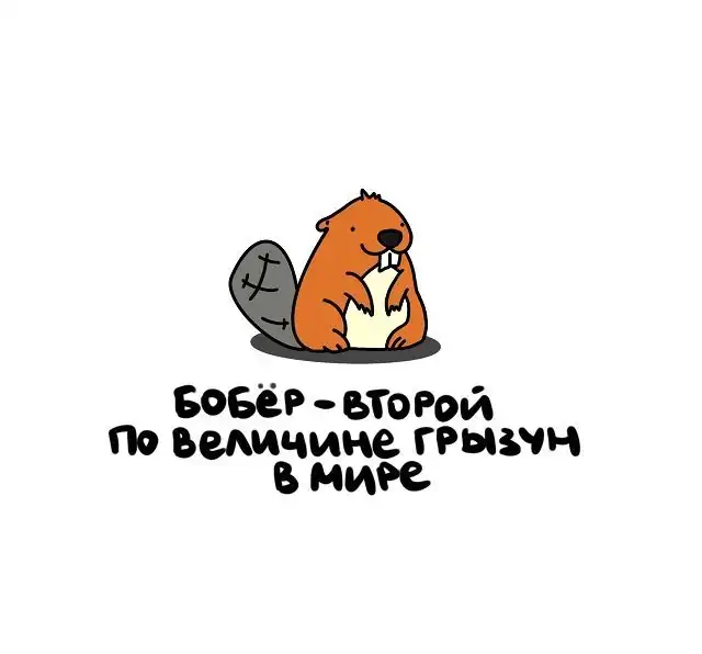 Интересные факты на все случаи жизни