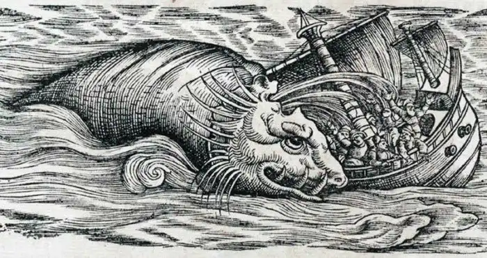 Морское чудовище, в существование которого не верили 1000 лет