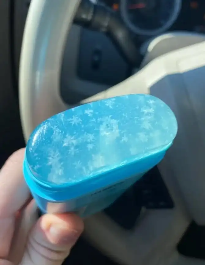 Какие сюрпризы обнаружили люди, оставив еду и вещи без присмотра