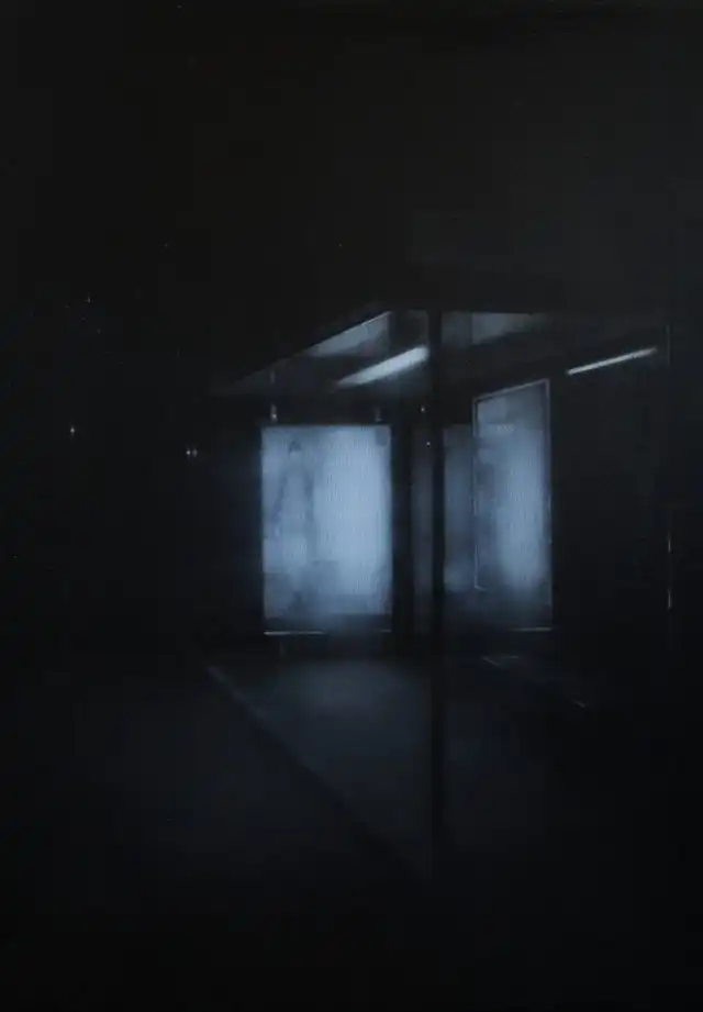 Картины финской художницы Минны Шёхольм, которая исследует сумрак, тьму и тени