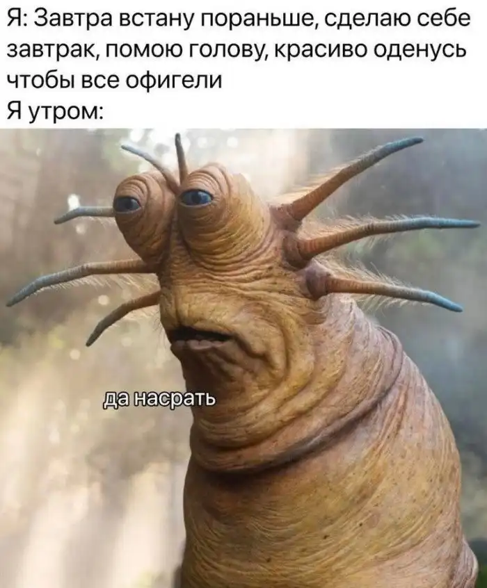 Грустный юмор, или экспериментальные шутки, которые понравятся не всем