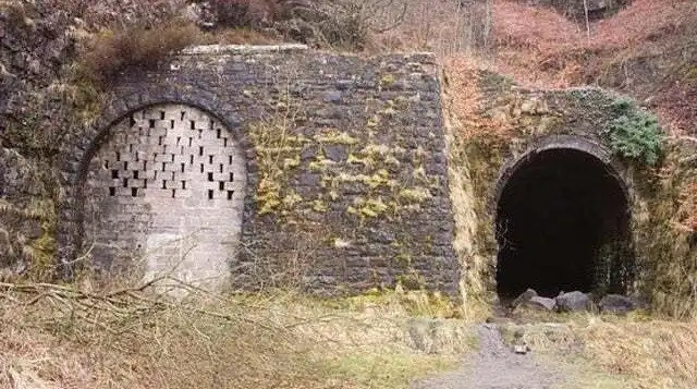 Плюсы осени: цветы засыпают, аллергики просыпаются