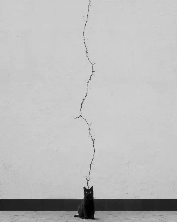 Конкурс городской фотографии объявил победителя