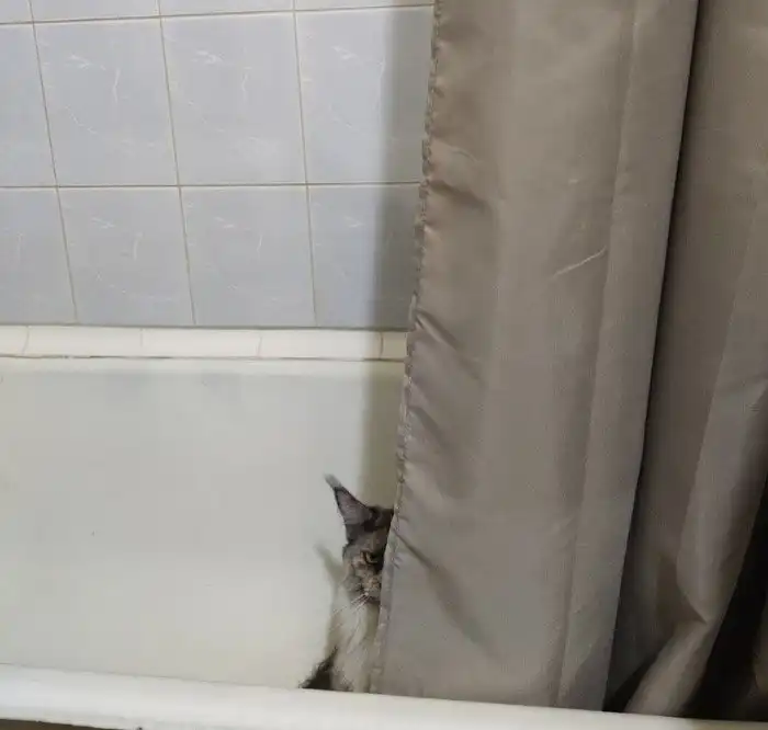 Паранойя снова разыгралась: всё о слежке